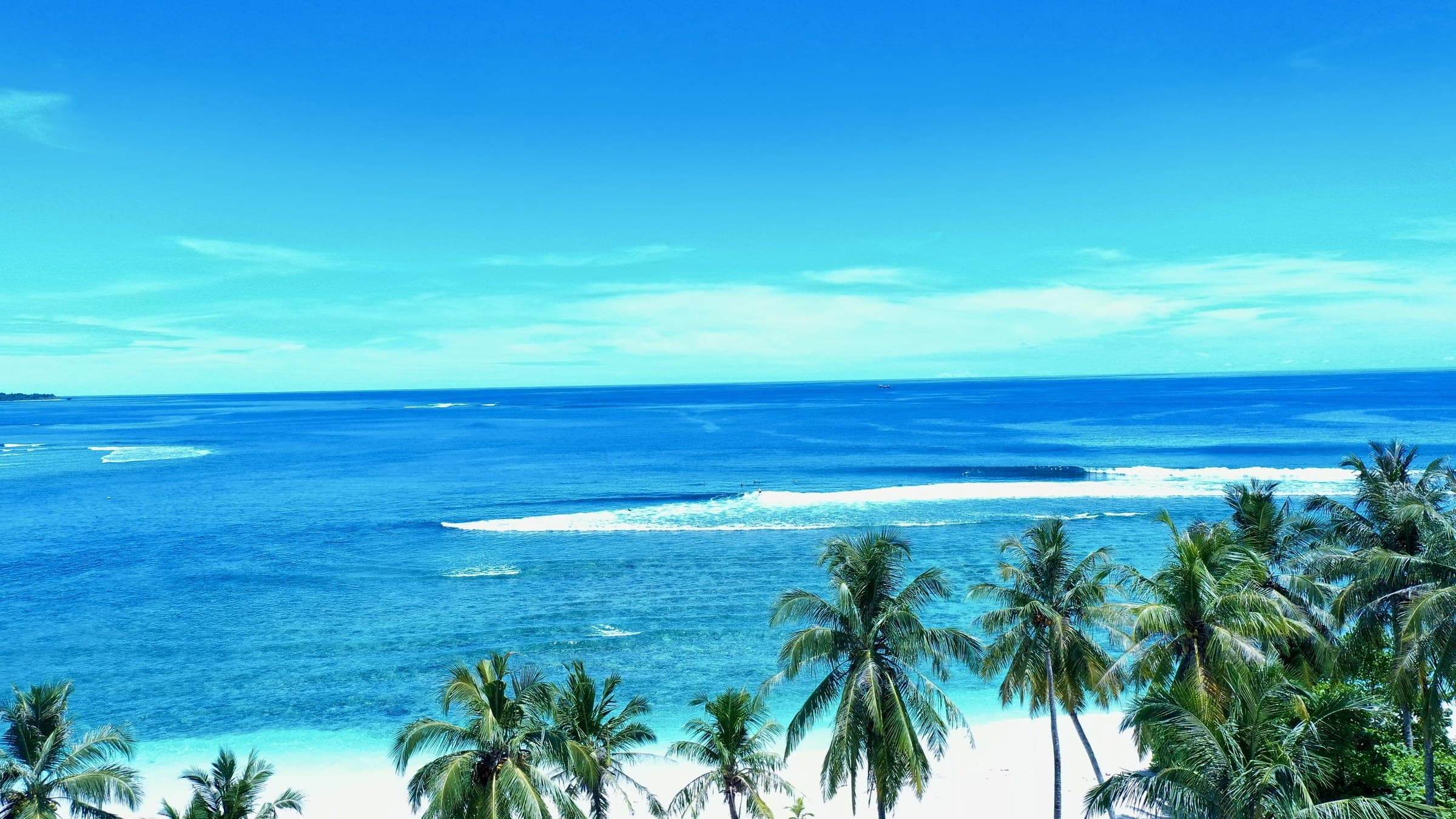 Turquoise water and palms on the edge of the reef