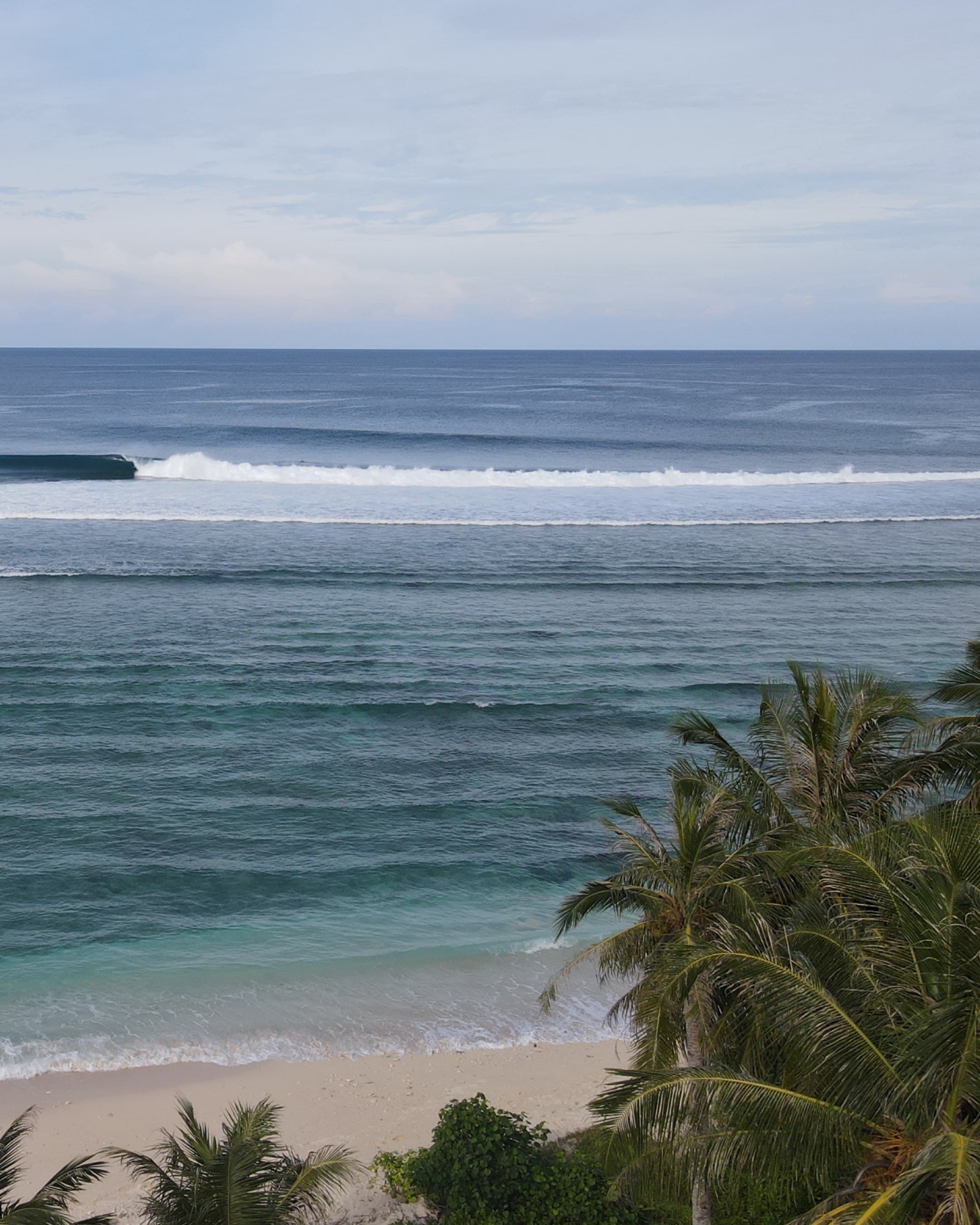The lineup seen from the house, over the palms and the sand