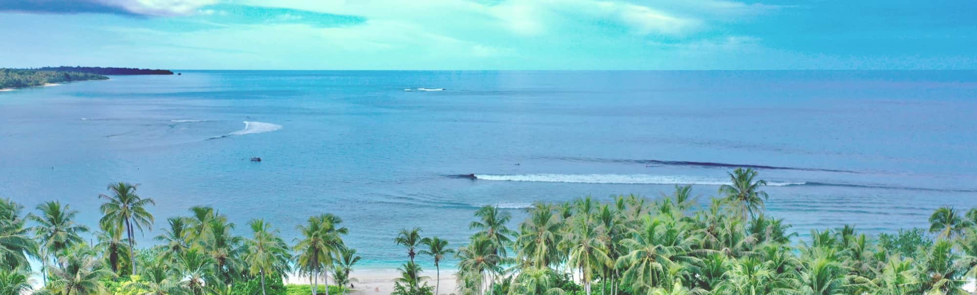 Aerial view of the reef and the island