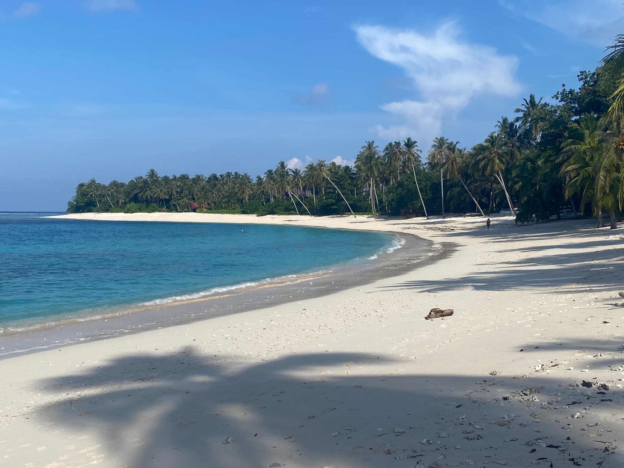 White sand beach with clear water and palms